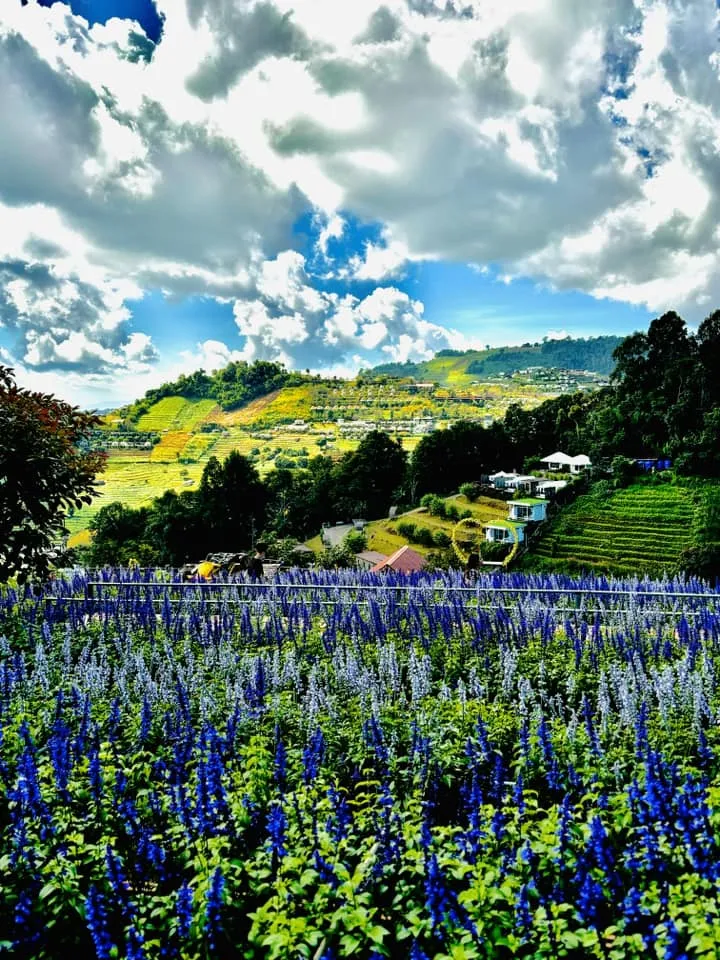 Mountain scenery from Mon Cham